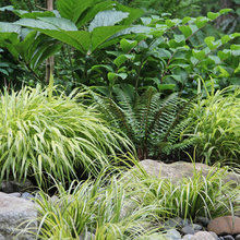 garden ideas