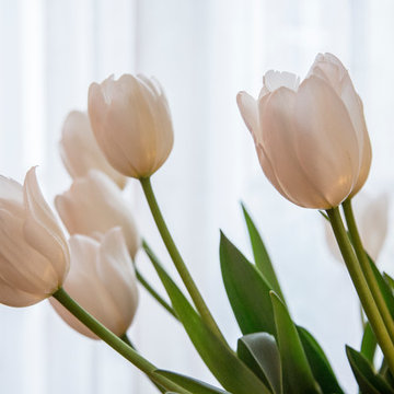 Dans l'appartement d'une écrivaine