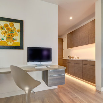 El Dorado Hills Modern Art Home