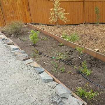Kirkland Backyard Redeux