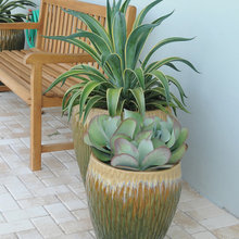 tropical interior for space coast apt