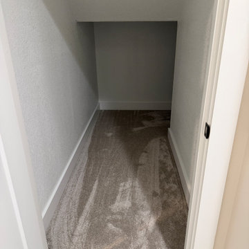 Water / Mold Restoration Project
