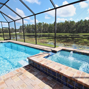 M/I Homes of Tampa: Trinity Preserve - Madison Genesis Model
