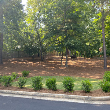 Pine straw