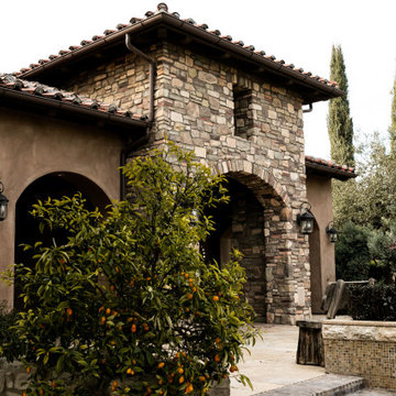 The Vineyard