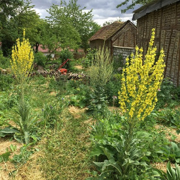 Jardin expérimental (en cours)