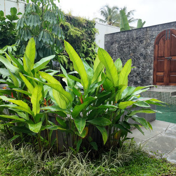 Landscaping Contracting Work in Kannur