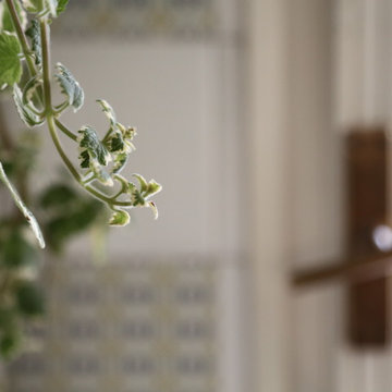 Home Relooking | Cesena