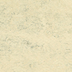 Forbo - Forbo Marmoleum Composition Tile, White Birch - MCT-3050 - Flooring