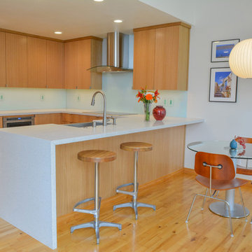 Pleasanton Contemporary Kitchen and Bar Remodel