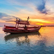Danny Lynch's photo
