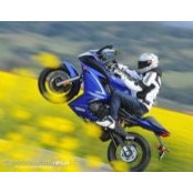 Stephan A's photo