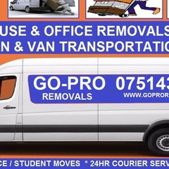 Go-Pro Removals