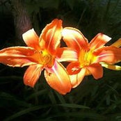 Keri Wold's photo