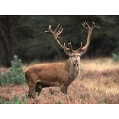 Nathalie Goethals's photo