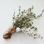 Karen Bui's photo