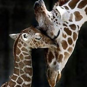 Lee Burg's photo