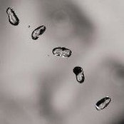 Terry Armand's photo