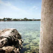 Ella McKnight's photo