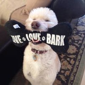 Melissa Winkle's photo