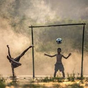 Dimitar Pavlov's photo