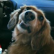 Kelli Consitt's photo