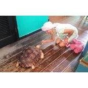 Laurie Moore Andersen's photo