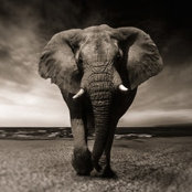 Foto von Samuel Gitonga