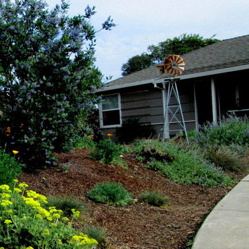 Baker Family Farmouse California Native Garden