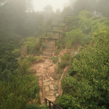 MBL landscape