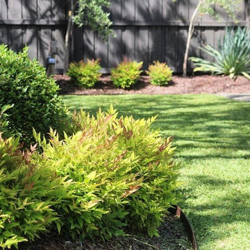 St Kilda East - Garden maintenance Project