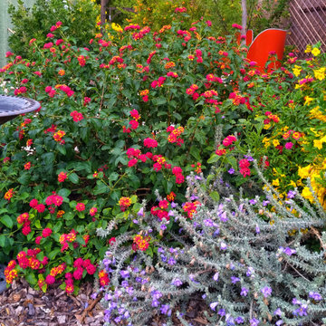Love, Labor, and a Garden of Their Own
