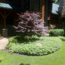 Bushes and Shrubs - Products