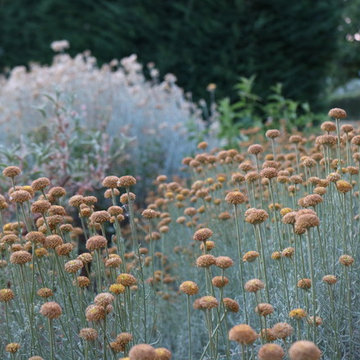 Giardino naturale