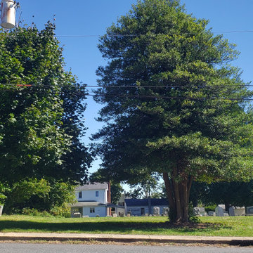 Fawn Grove Cemetery