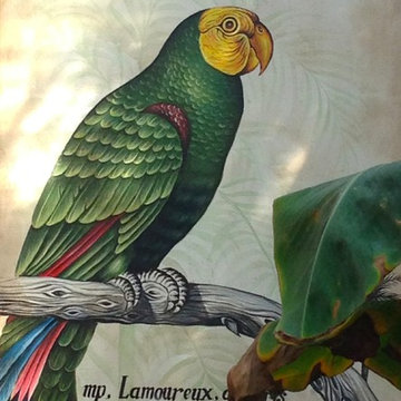 Parrott art