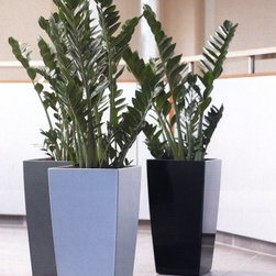 Modern Planter - Products