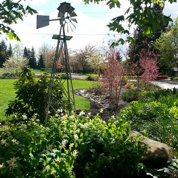 Master Gardener Landscape Makeover Rain Garden