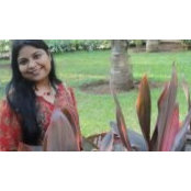 Vaishali Kadam's photo