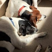 Martha McClain's photo