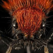 Bill Baker's photo