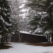 Jeff Brandes's photo