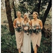 Taylor Williams's photo