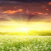 Sunrise Sunsets foto