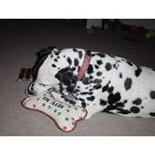 Betty Webb's photo