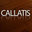 Callatis Flooring LLC