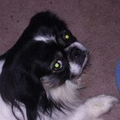 Janette Corrigan's photo
