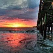 Wanda Fields's photo