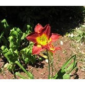 Denise Scott's photo