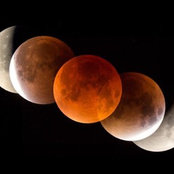 James Hall's photo